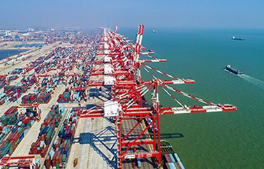 Guangdong shipping companies bucked the trend in the first quarter